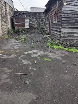 Virunga 8em cepac
