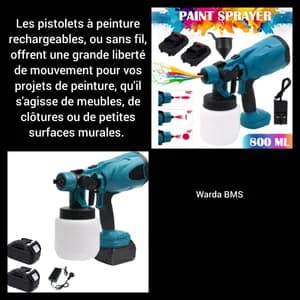 Pistolet à peinture à 45$