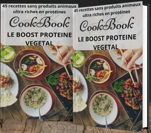 45 recette protéiné végétale