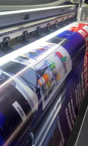 Calicot et autocollant