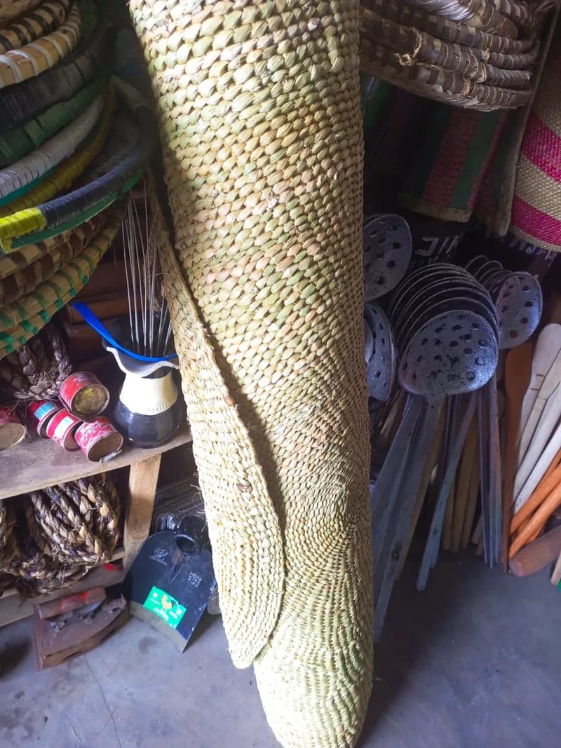 Tapis